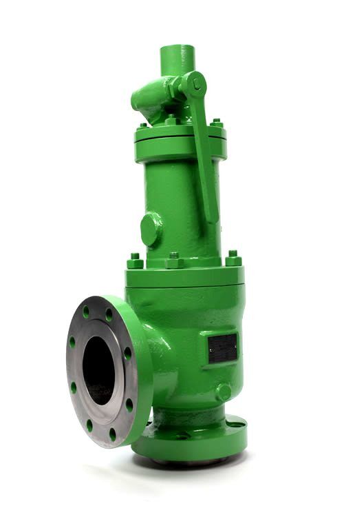 Danco Steel Enclosed Spring Full-Nozzle Pressure Relief Valve