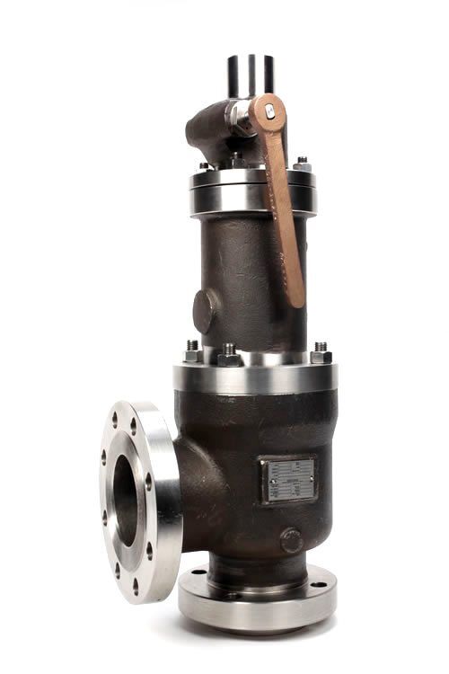 Danco Stainless Steel Enclosed Spring Full-Nozzle Pressure Relief Valve